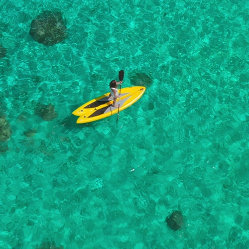 Caribbean-Pod-2025