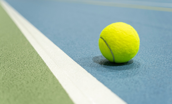 Paddle Tennis Court