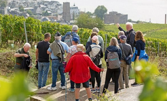Hiking to the vineyards