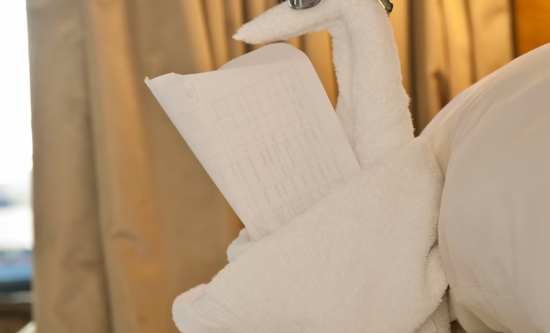 Folding Artistry