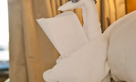 Folding Artistry