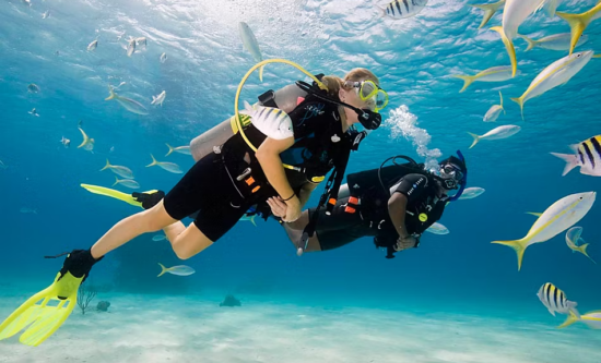 Scuba Certification