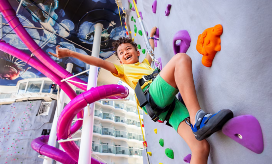 Rock Climbing Wall