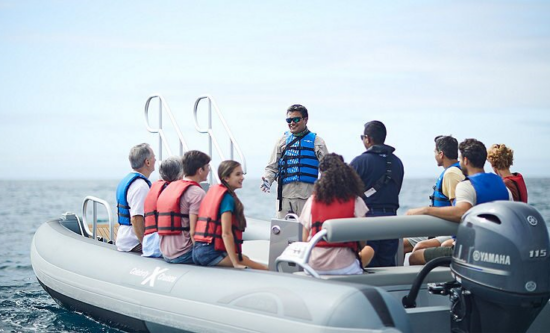 Novurania Yacht Tenders
