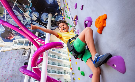 Rock Climbing Wall