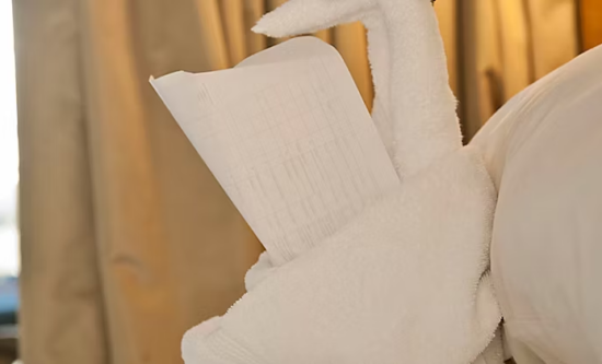 Folding Artistry