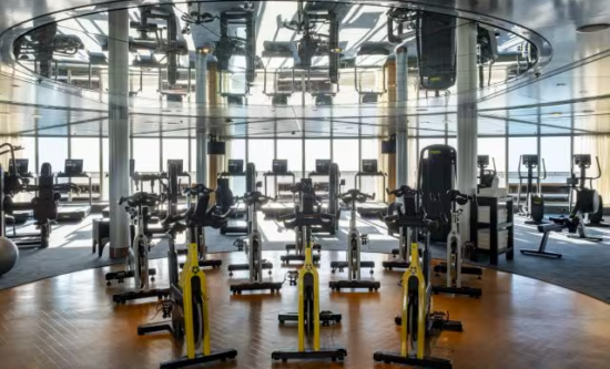 The Gym and Fitness Studio
