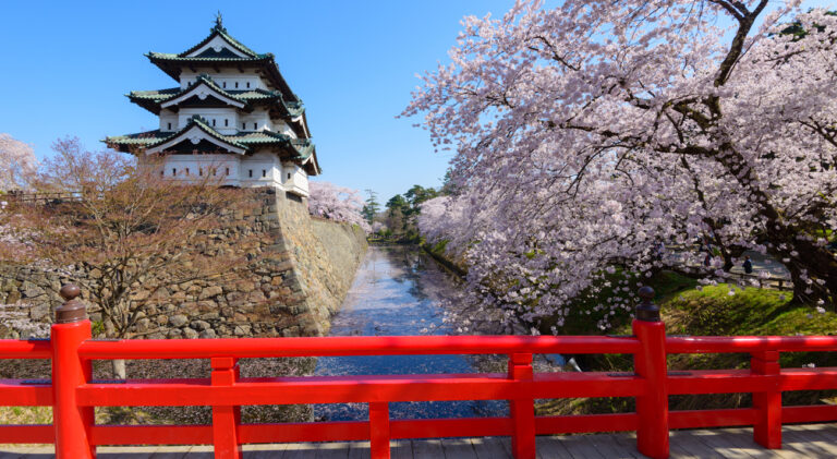Vision Cruise Exclusive The Plum Blossom Path