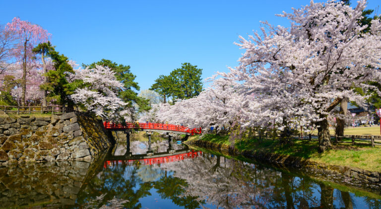 Vision Cruise Exclusive Millennium Best of Japan Voyage