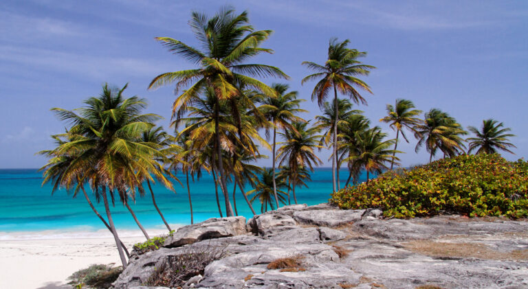 Vision Cruise Exclusive Barbados Crown & Caribbean Escape