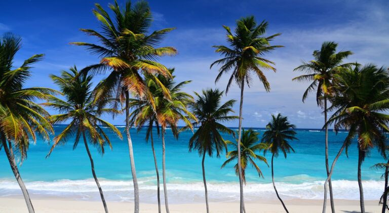 Vision Cruise Exclusive Barbados Bliss & Emerald Seas