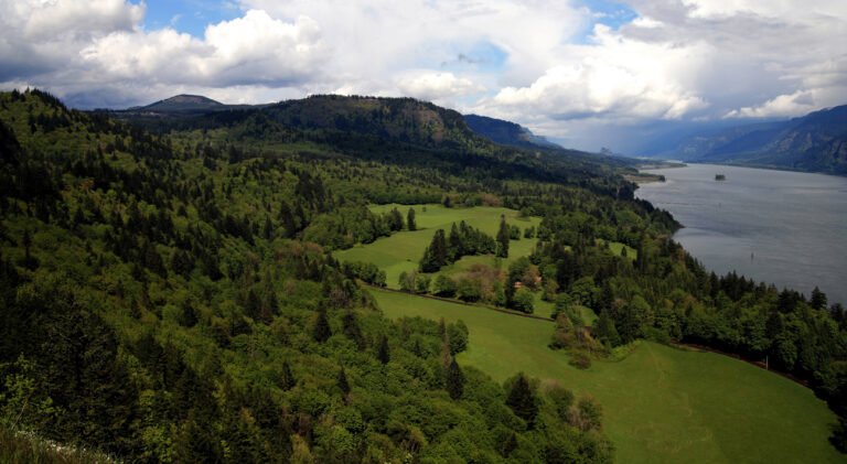 Vision Cruise Exclusive Cape Horn & Glaciers of Patagonia