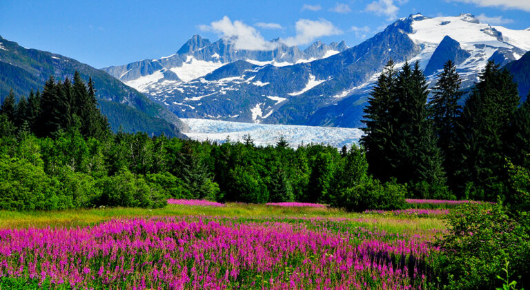 Vision Cruise Exclusive Alaska’s Autumn Icefields