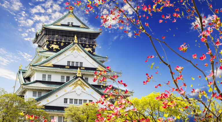 Vision Cruise Exclusive Southern Japanese Westerdam