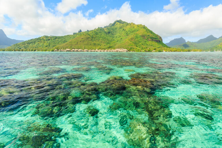 Vision Cruise Exclusive South Pacific to Hawaii
