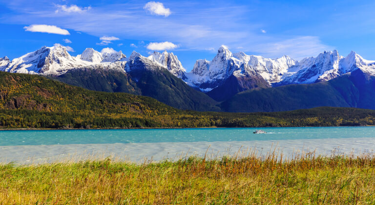 Vision Cruise Exclusive Scenic Summits and Arctic Skies
