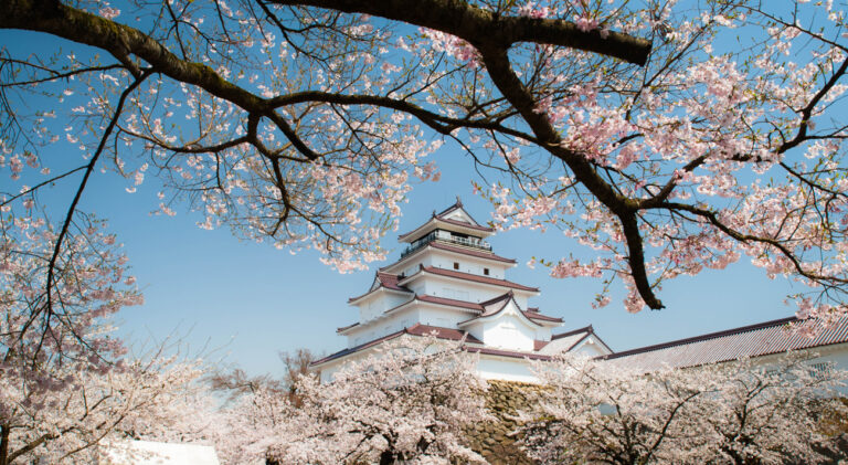 Vision Cruise Exclusive Millennium Best of Japan Voyage