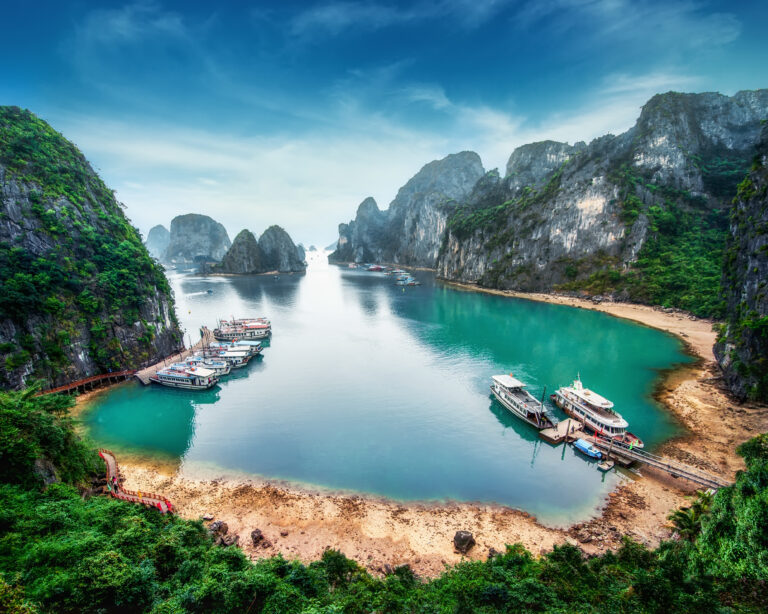 Vision Cruise Exclusive Panorama Asia: City to Sea