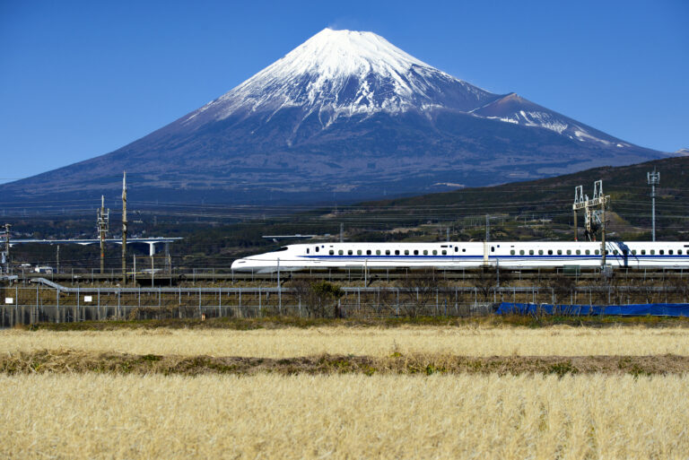 Vision Cruise Exclusive Sapphire Princess Japan Explorer