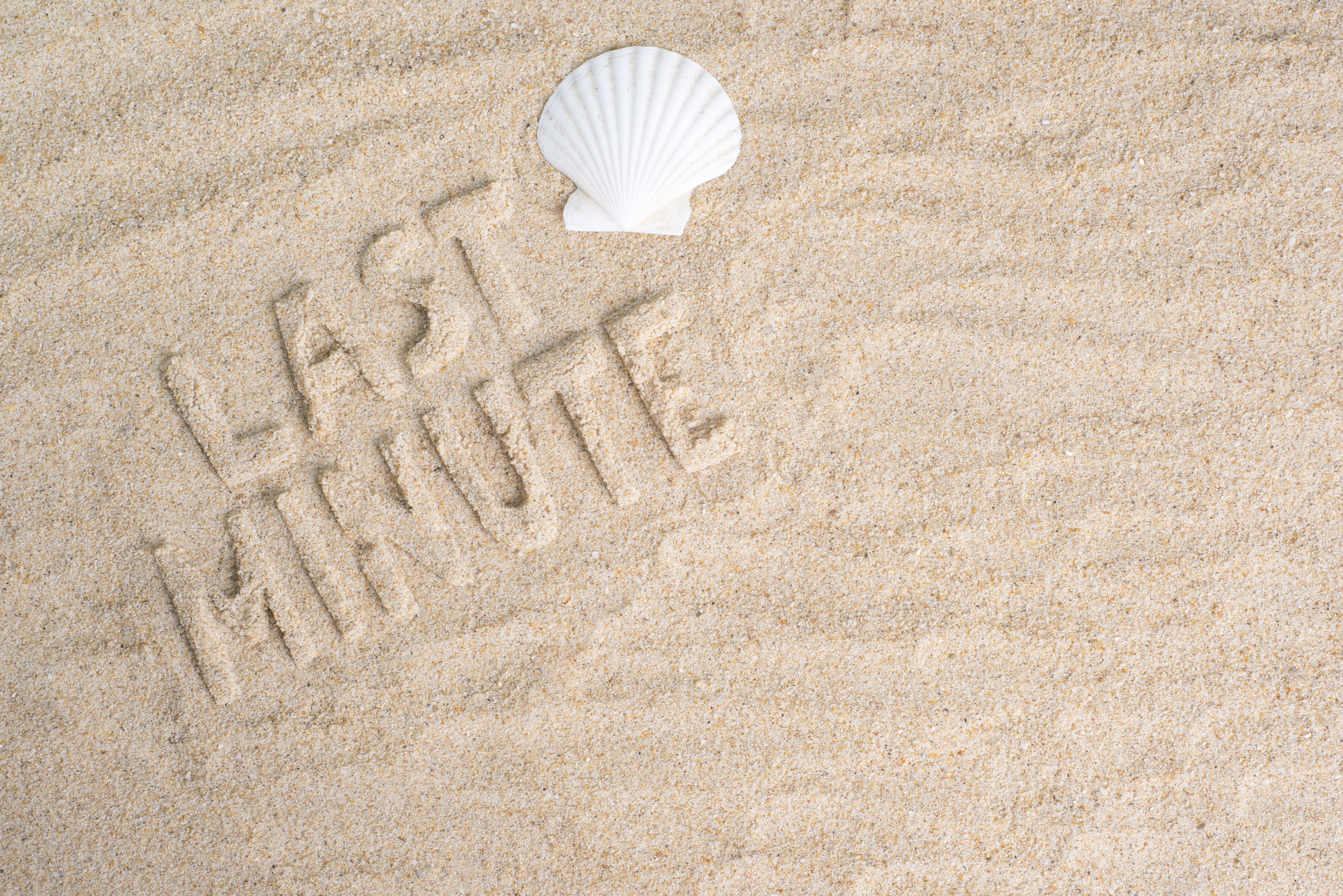 Last,Minute,Holiday,Vacation